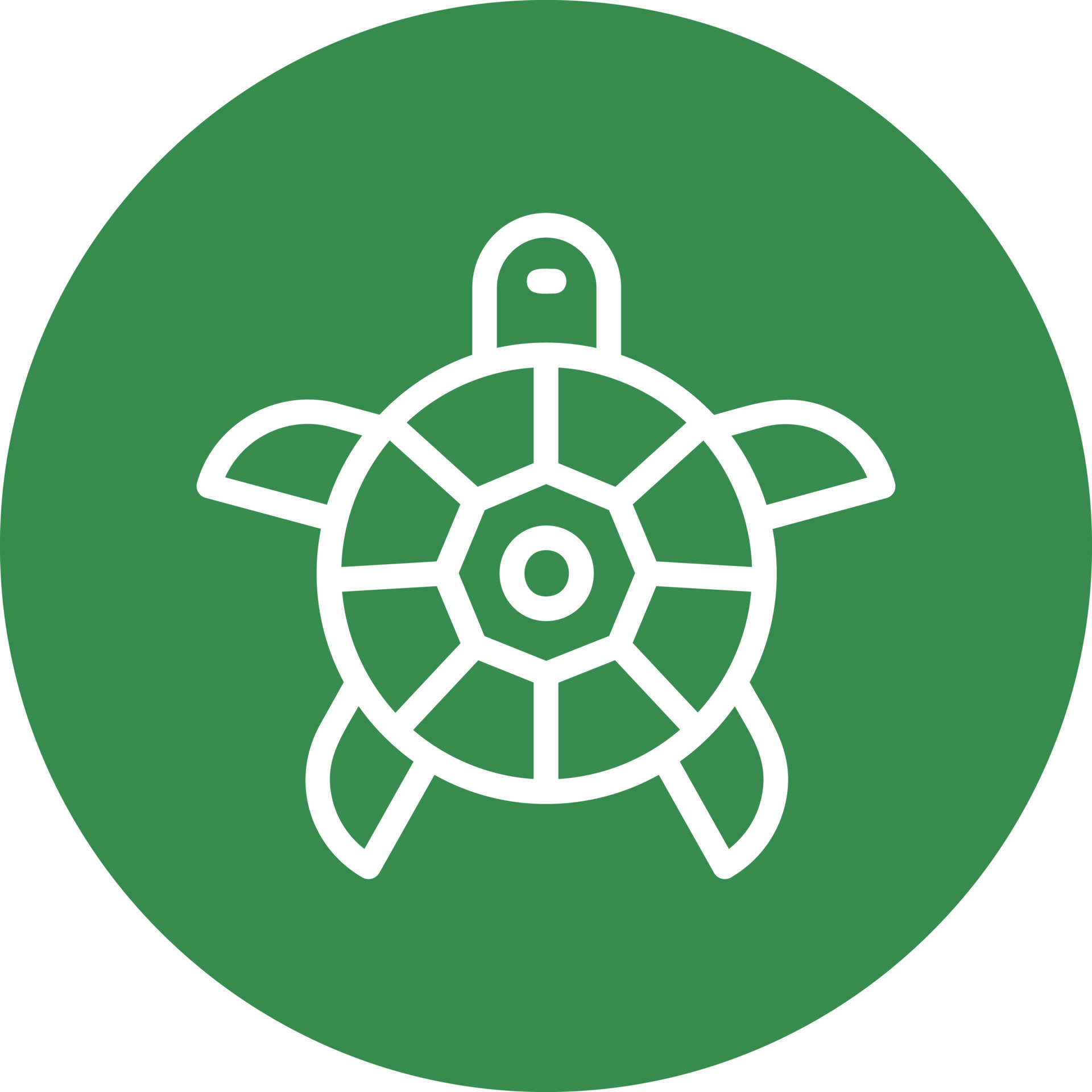 Turtle Vector Icon Design 16516349 Vector Art at Vecteezy