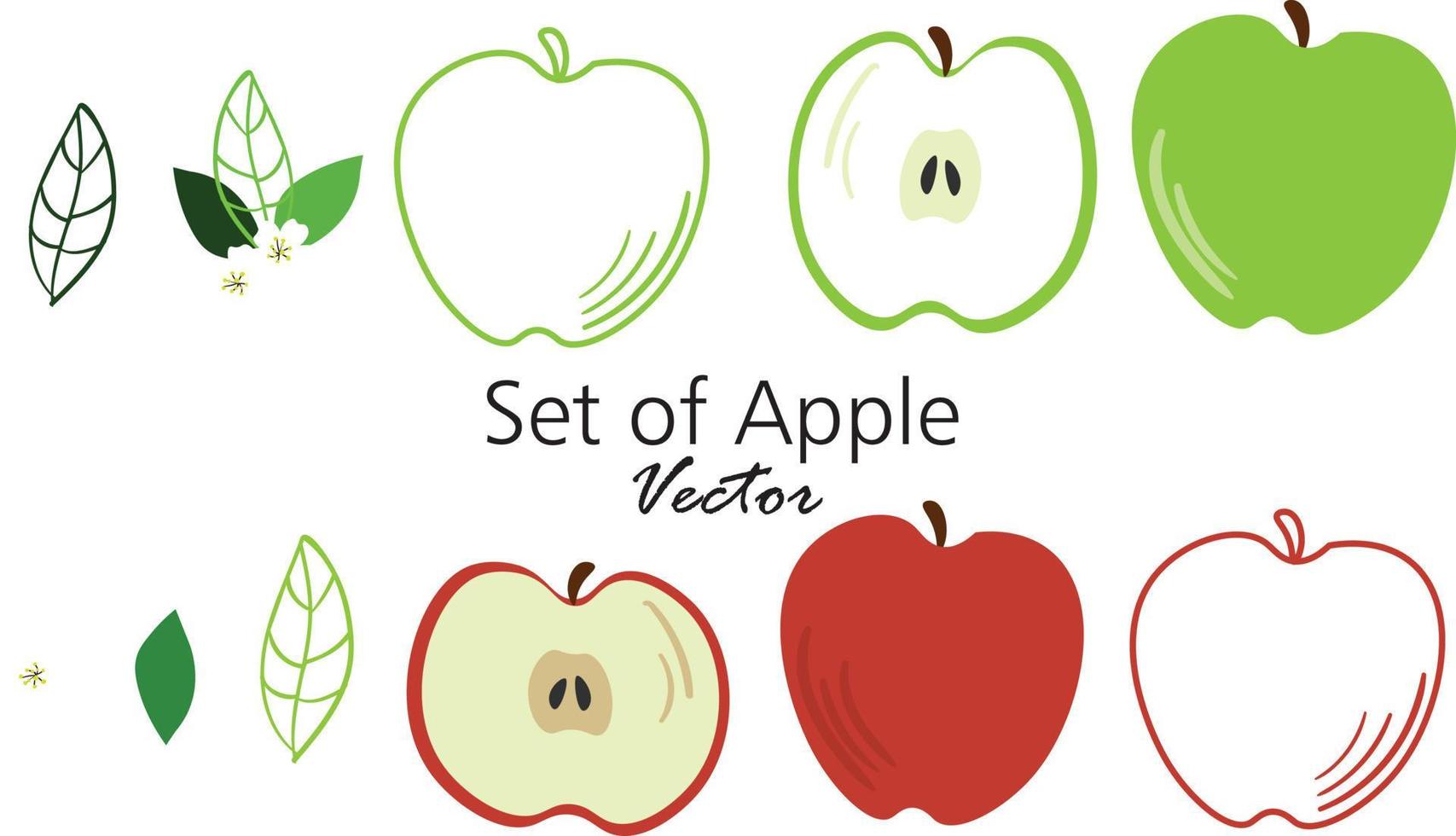 Different colors and parts of apples vector set
