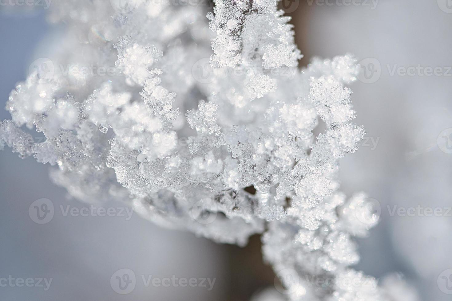 Ice crystals froze in all directions. Abundant textured and bizarre shapes were formed photo