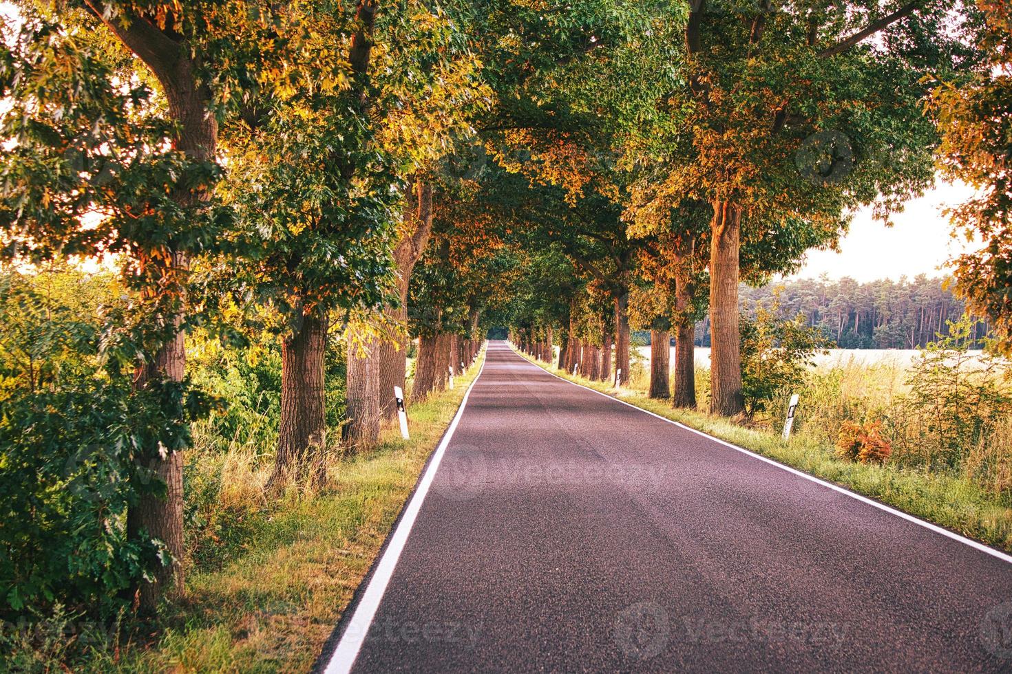 país por carretera en el sarre a la luz del sol poniente. fotografía de paisaje foto