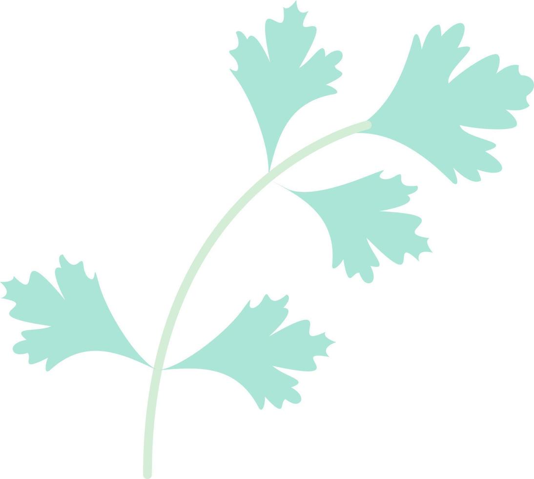 diseño de icono de vector de cilantro