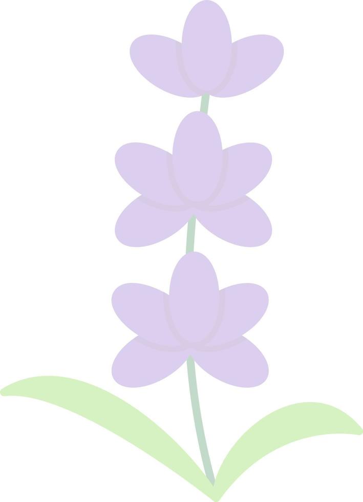 Lavender Vector Icon Design