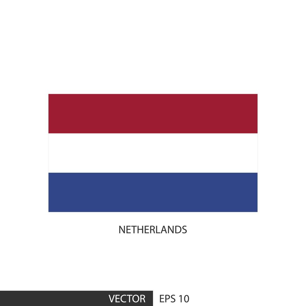 Netherlands square flag on white background and specify is vector eps10.