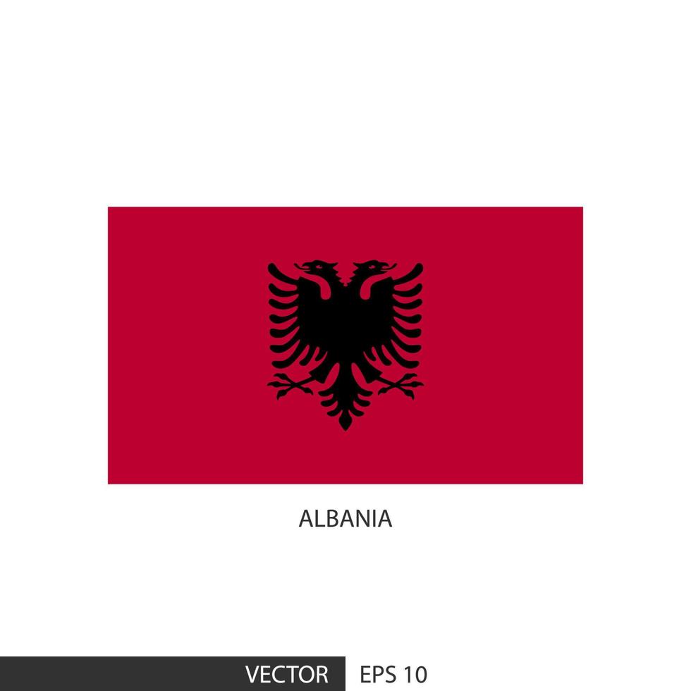 Albania square flag on white background and specify is vector eps10.