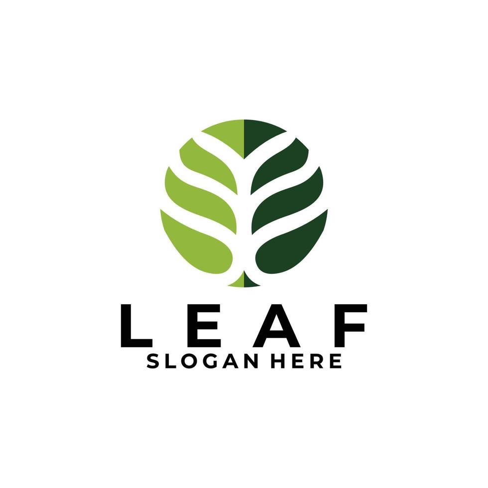 Leaf logo icon vector isolated