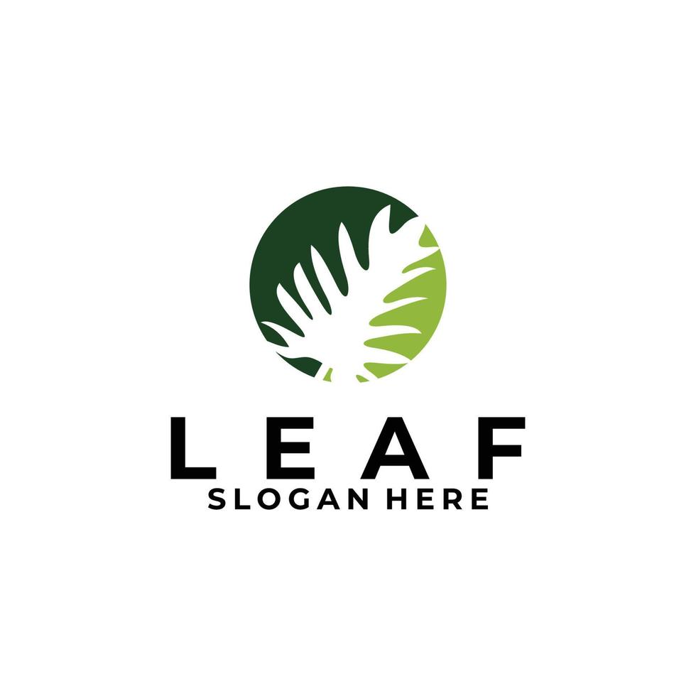 Leaf logo icon vector isolated