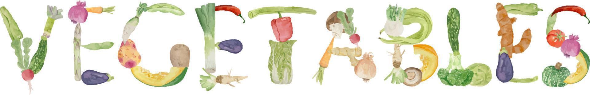 fondo de acuarela con letras de verduras sobre fondo blanco, diseño plano. concepto de alimentación saludable, antecedentes alimentarios. marco de verduras vector