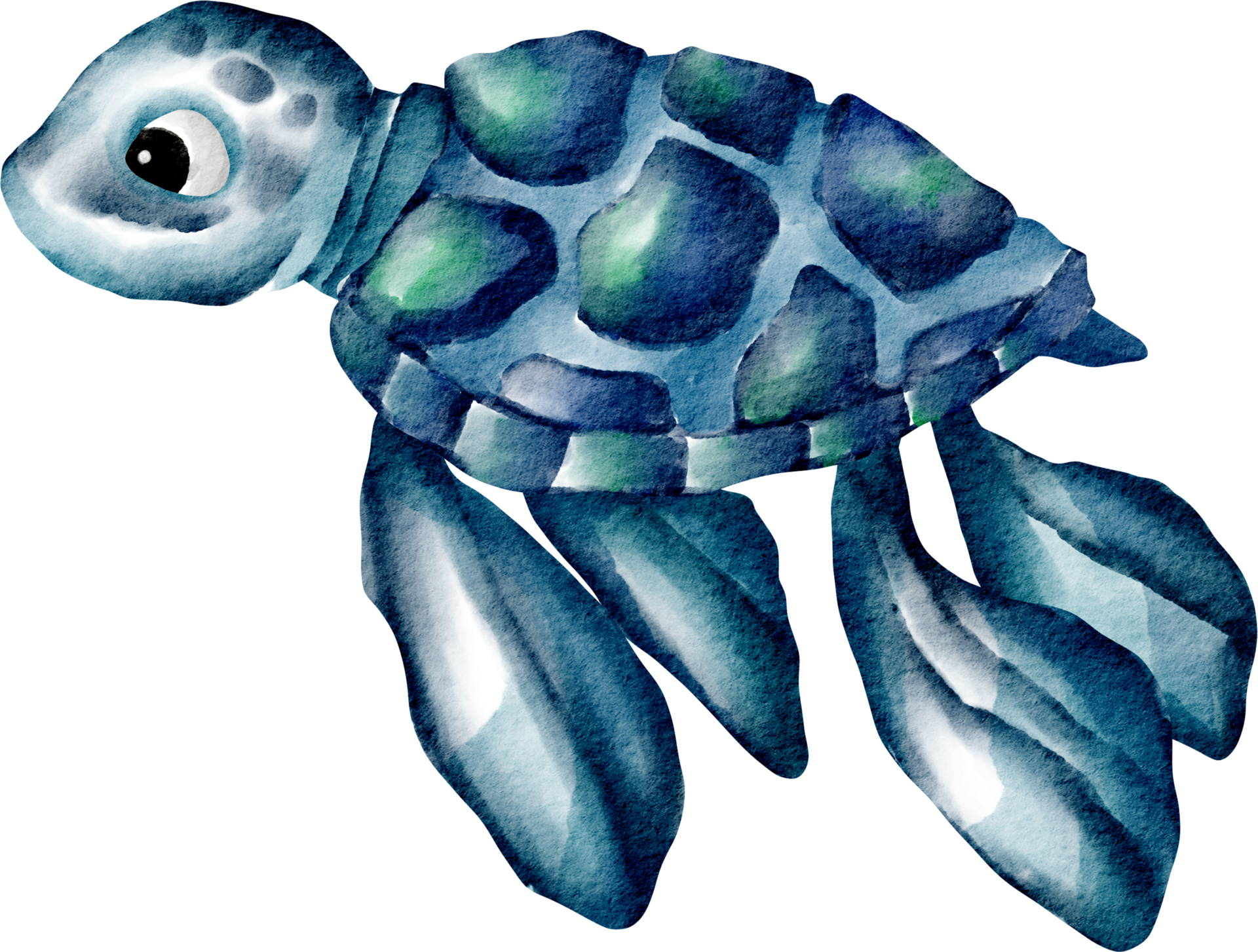 Free watercolor turtle cartoon 16529898 PNG with Transparent Background Free watercolor turtle cartoon 16529898 PNG with Transparent Background