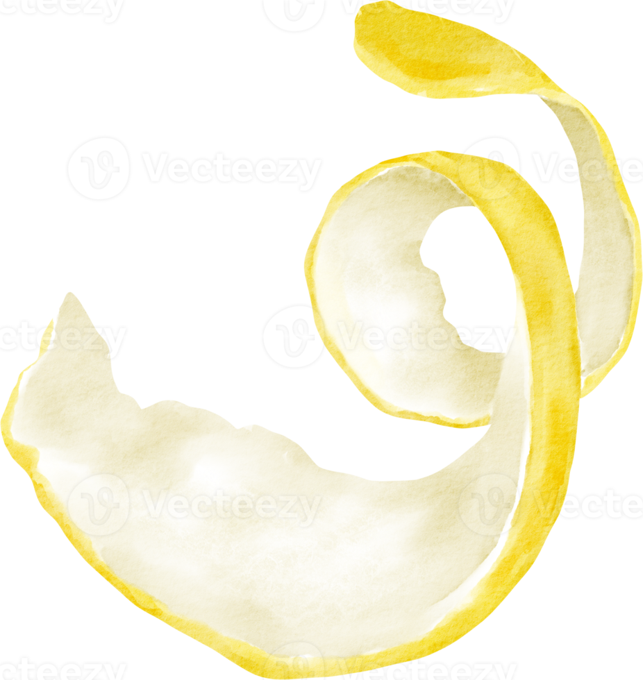 watercolor lemon peel clip art png