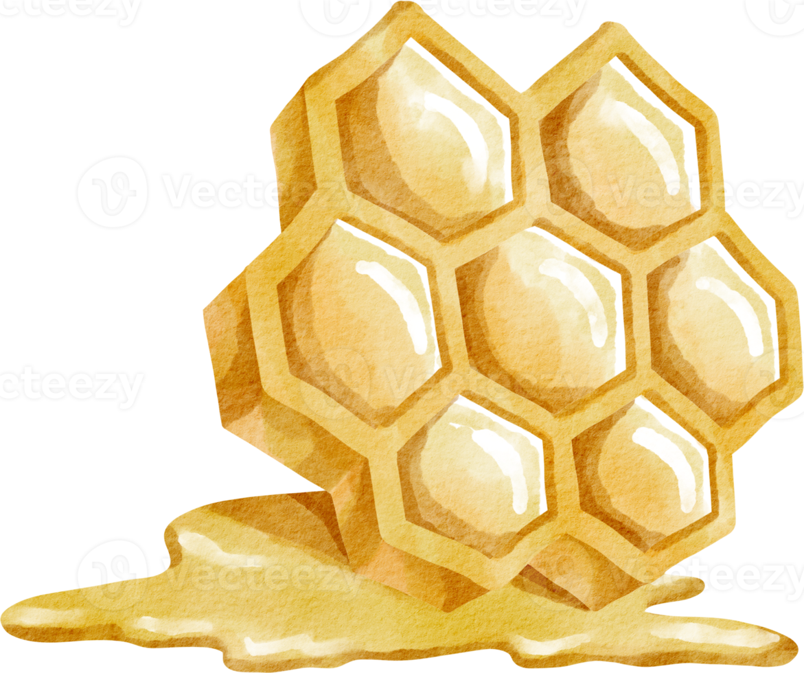 watercolor honey comb png