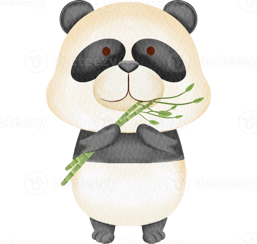 watercolor cute panda png