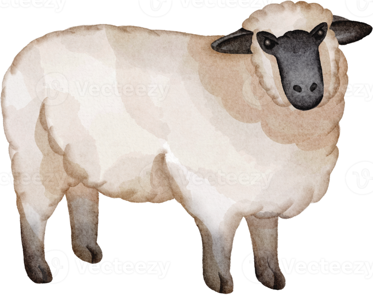 watercolor sheep clip art png