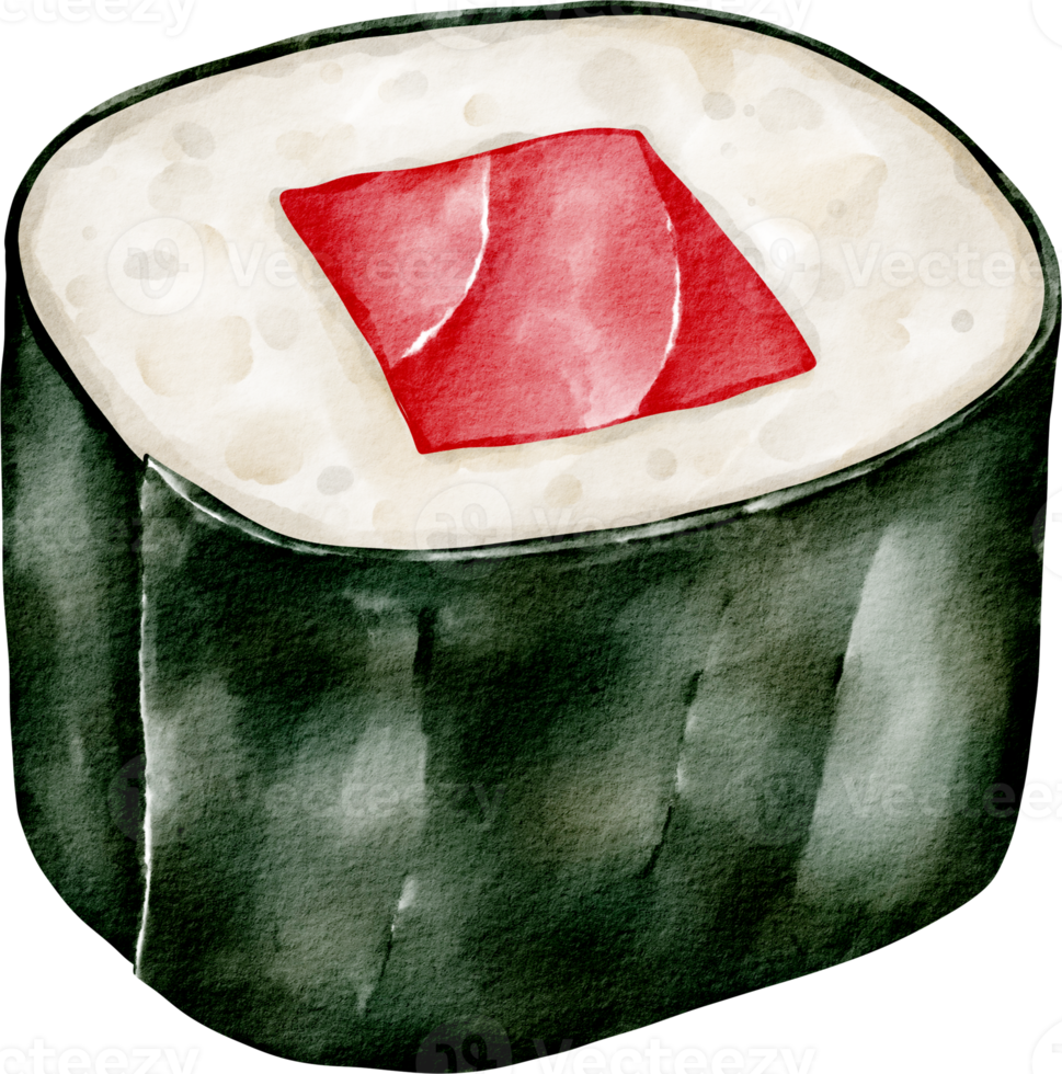 watercolor sushi roll png