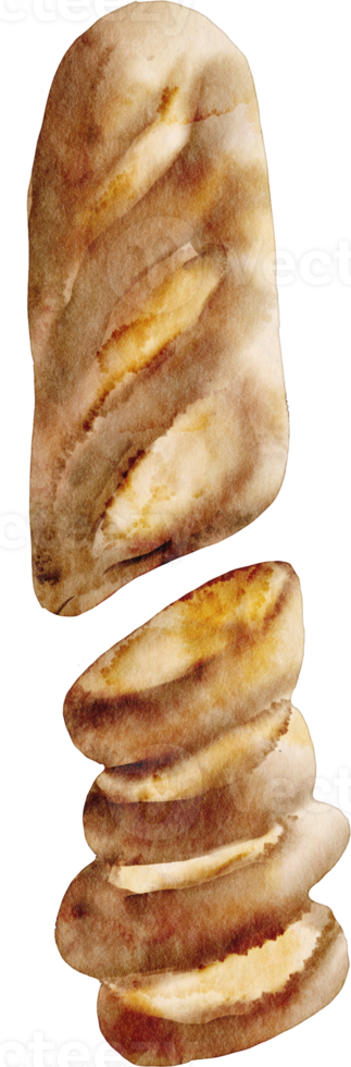 vattenfärg baguette bageri png