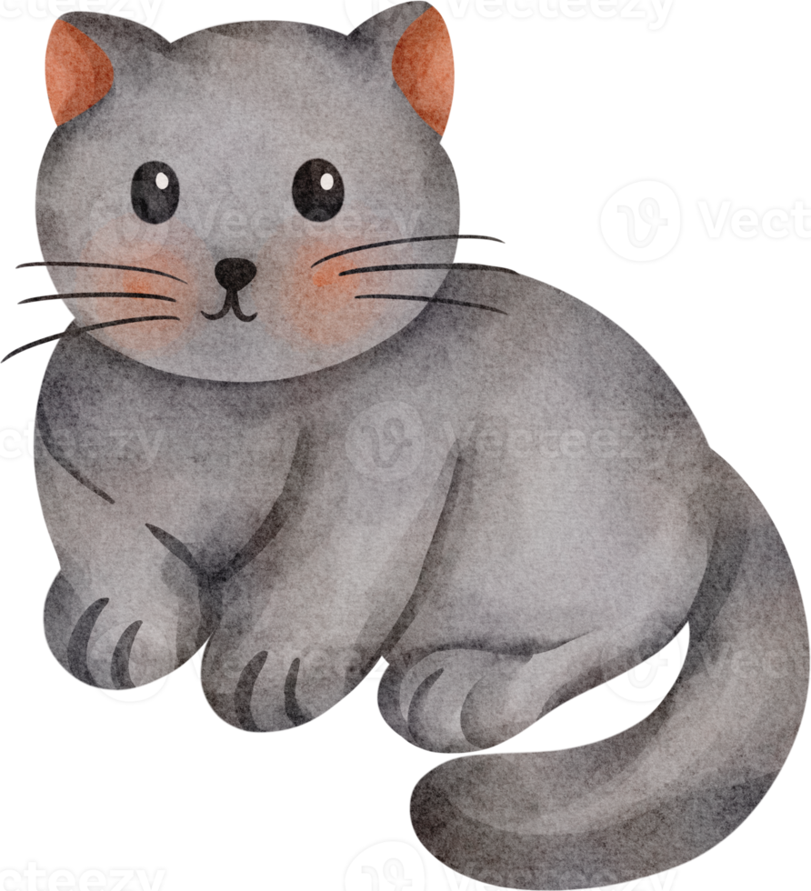 illustrazione di gatto carino png