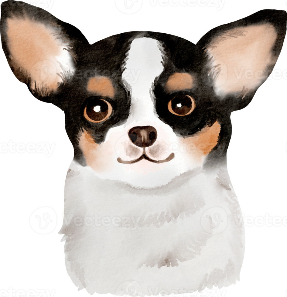 waterverf hond chihuahua png