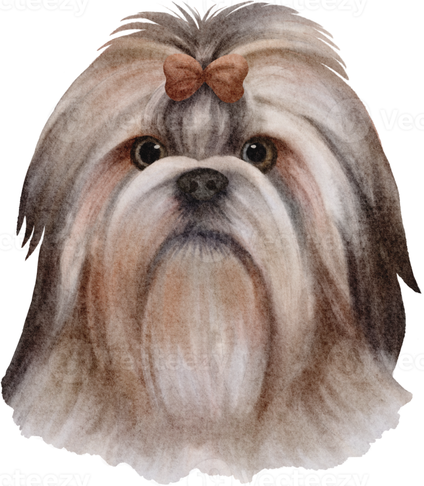 vattenfärg shih tzu hund png