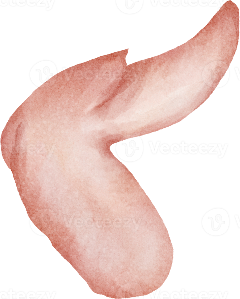 vattenfärg kyckling vinge png