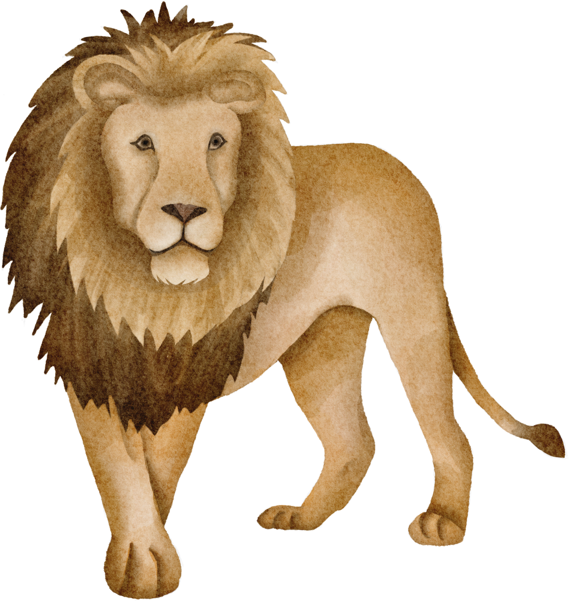 lion image clip art