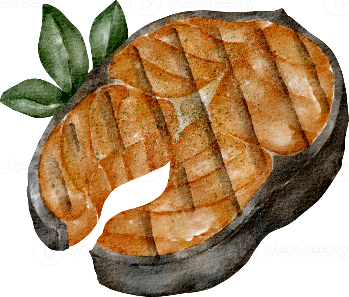 watercolor grilled salmon png