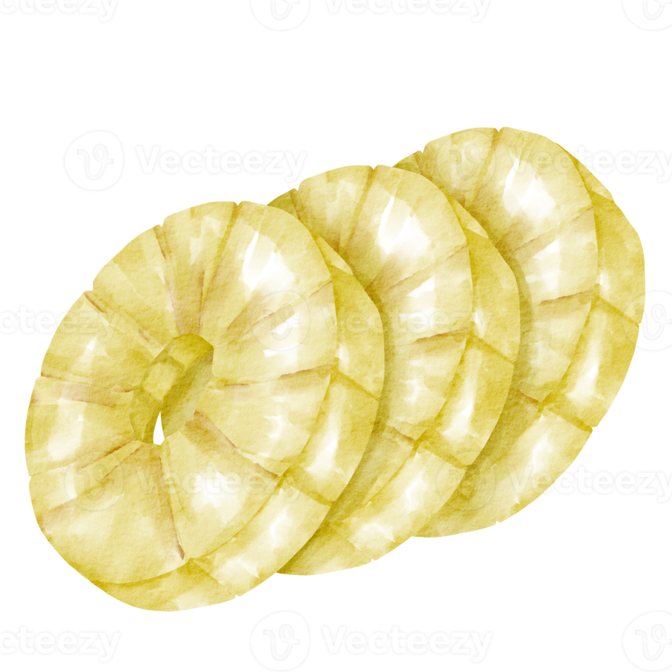 waterverf ananas element png