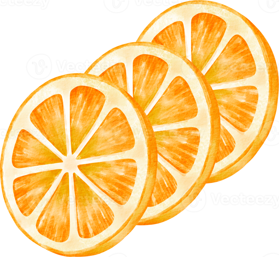 watercolor orange slice png