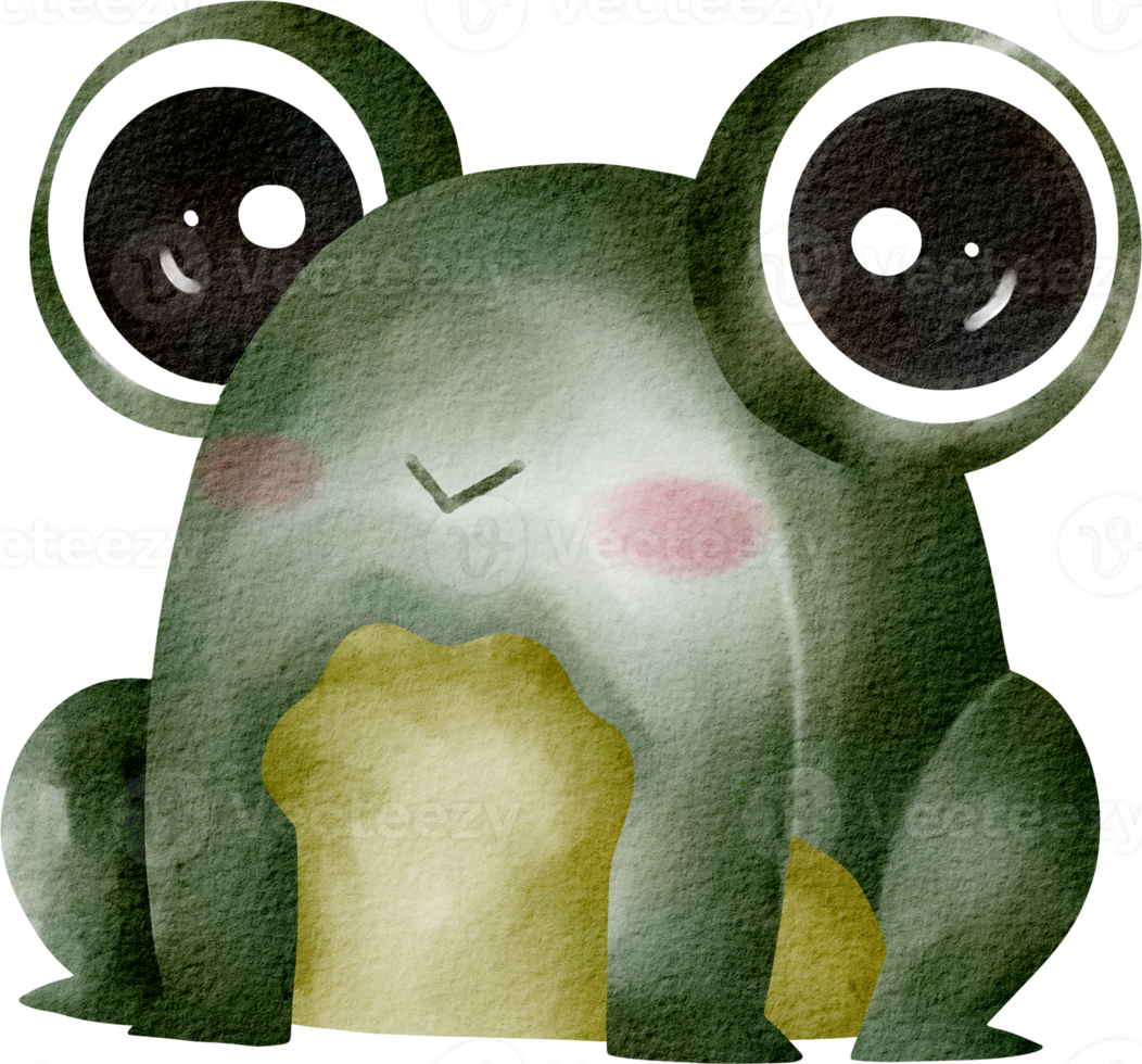 Aquarell Frosch ClipArt png