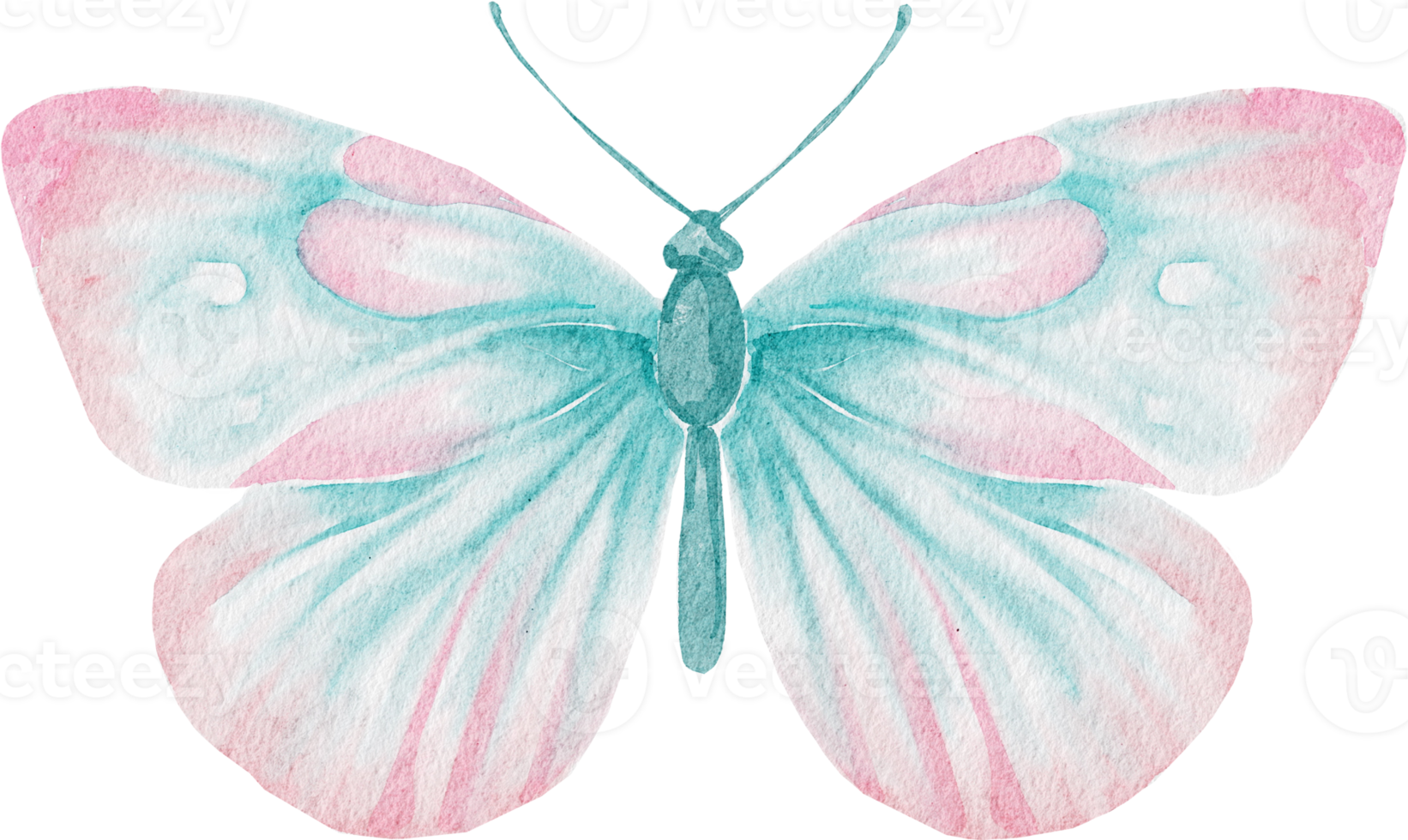 Free watercolor pink butterfly 16532610 PNG with Transparent Background