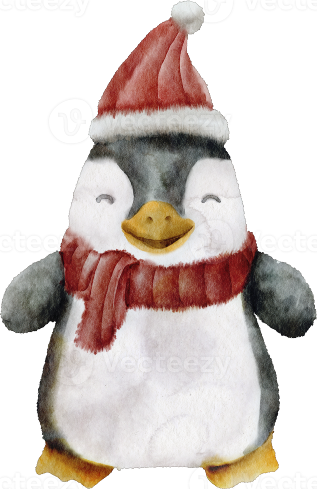 acquerello pinguino Bambola png