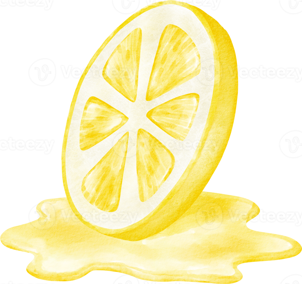 watercolor lemon slice clip art png