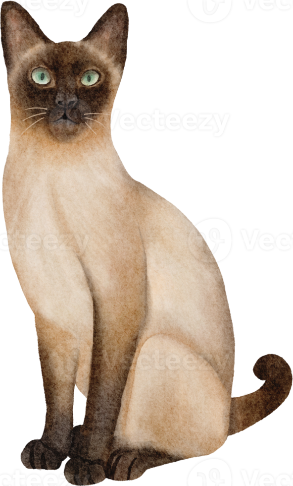 clipart de gato em aquarela png