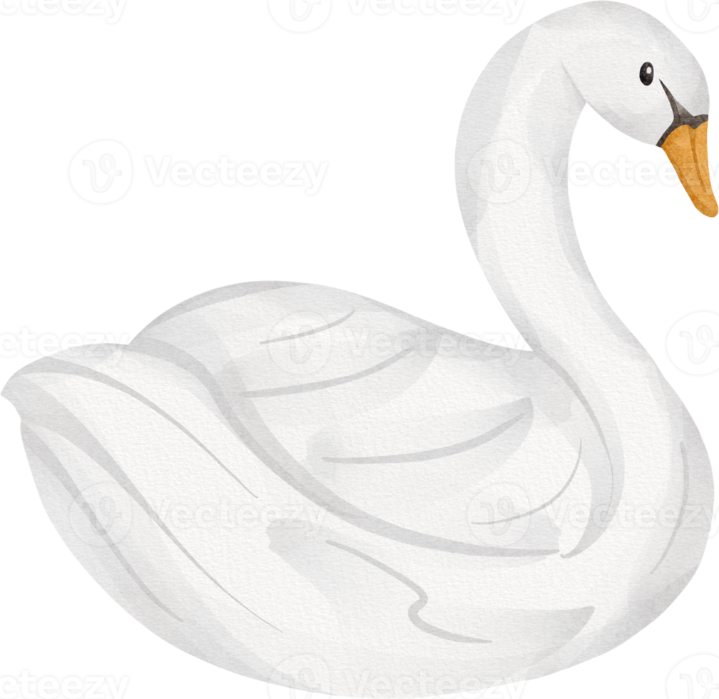 goose watercolor cute clip art png