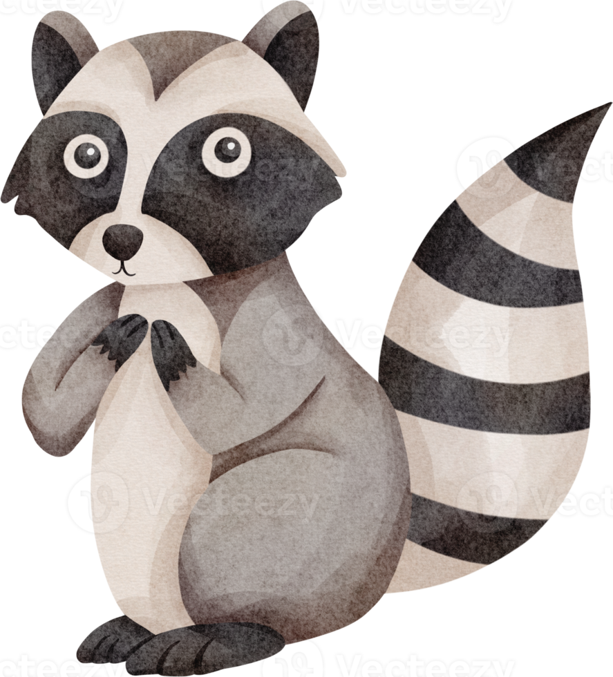 watercolor raccoon cute clip art png