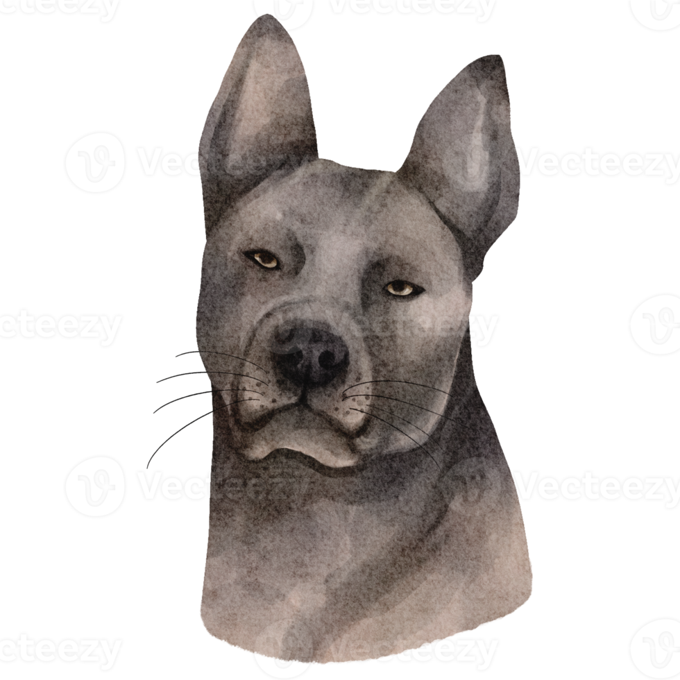 imágenes prediseñadas de perro acuarela png