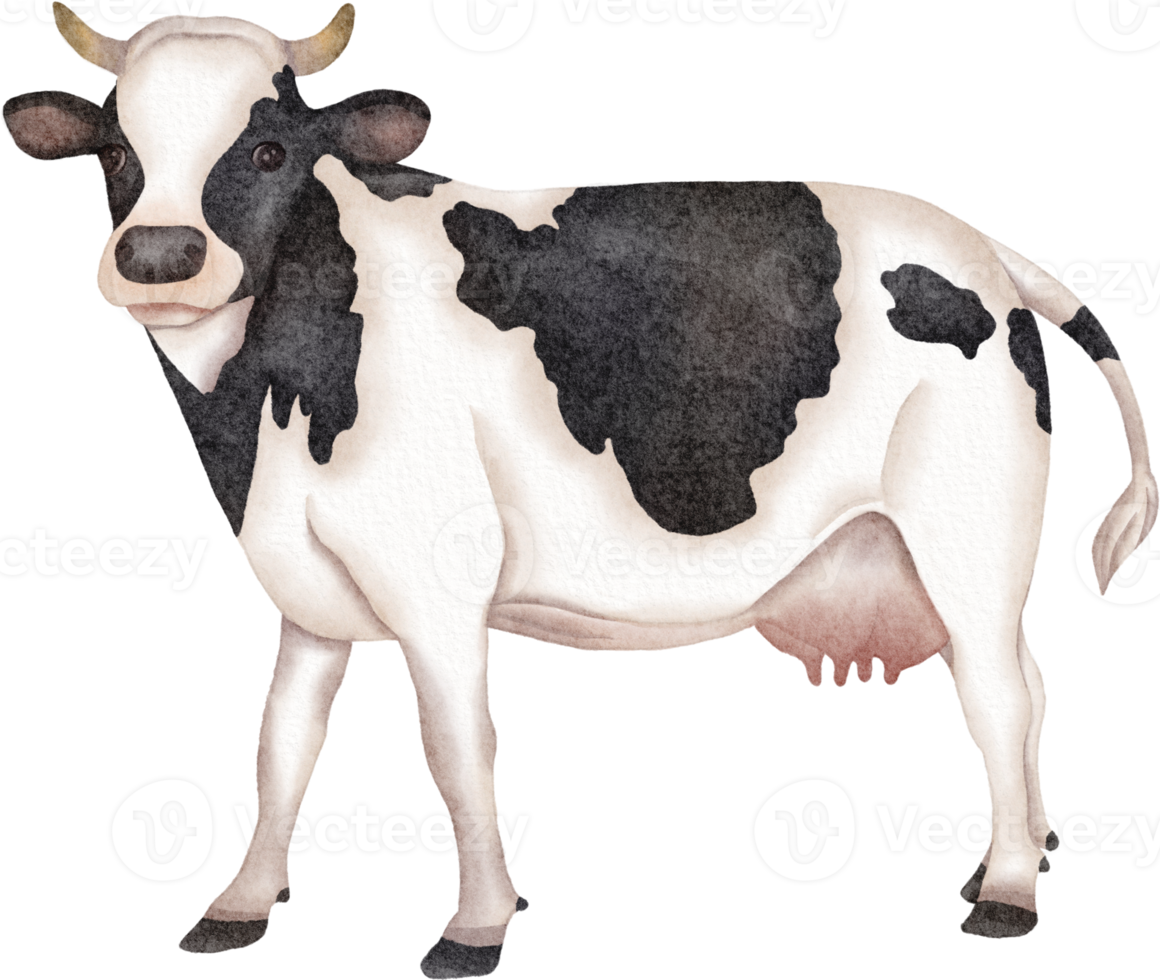 imágenes prediseñadas de vaca acuarela png