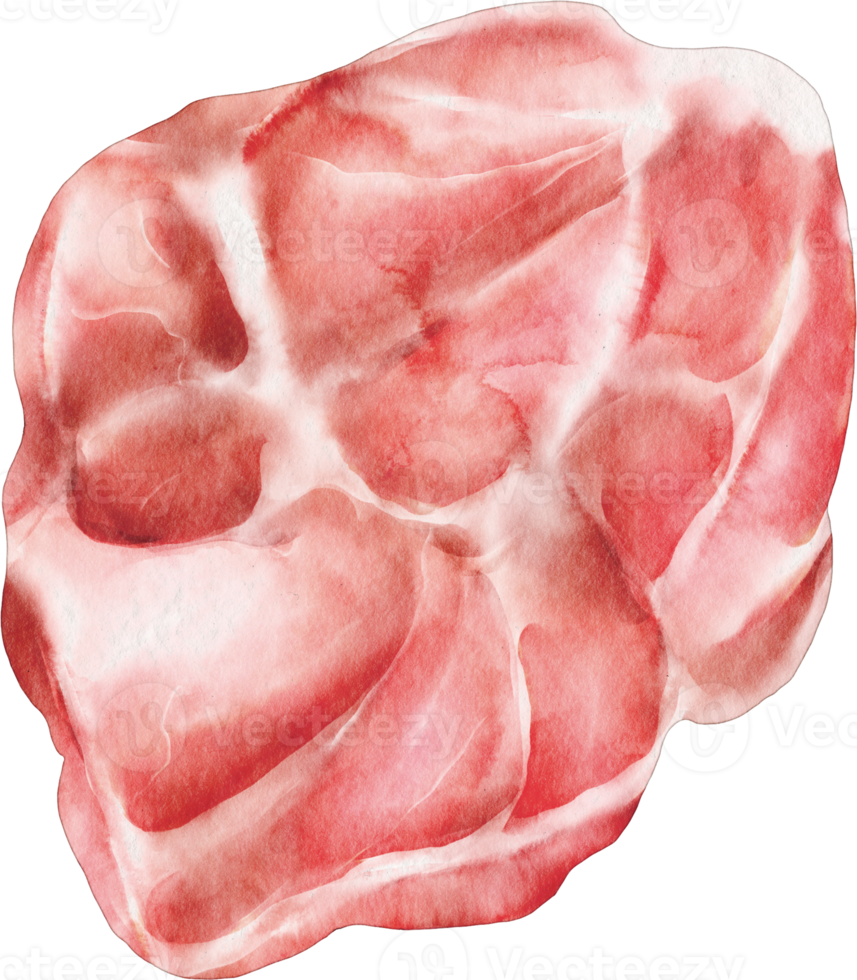 carne de res acuarela png