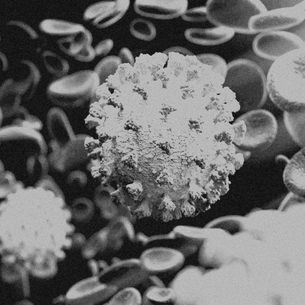 4K Image, Virus. Microscopic view of viruses. Cells, Black and White photo