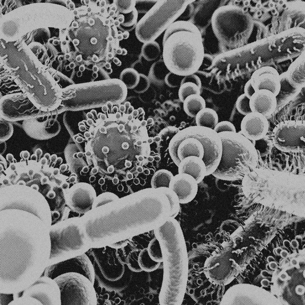 4K Image, Virus. Microscopic view of viruses. Cells, Black and White photo