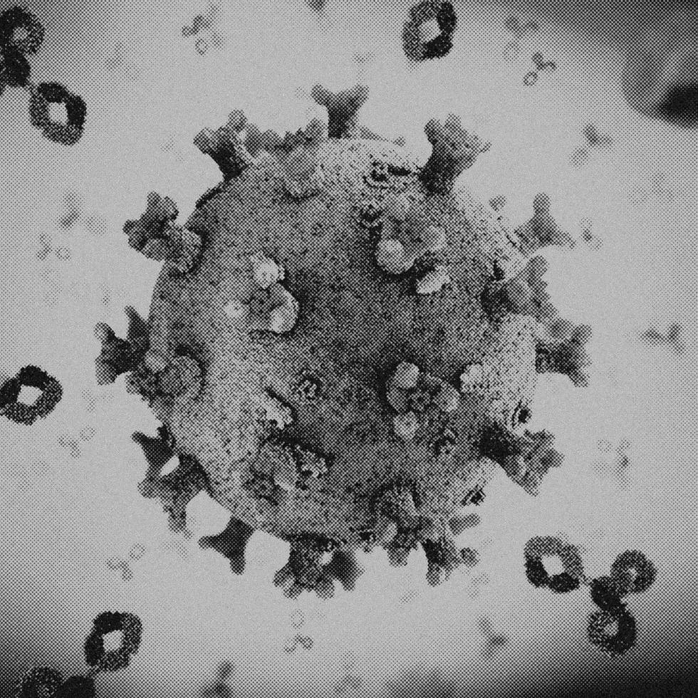 4K Image, Virus. Microscopic view of viruses. Cells, Black and White photo