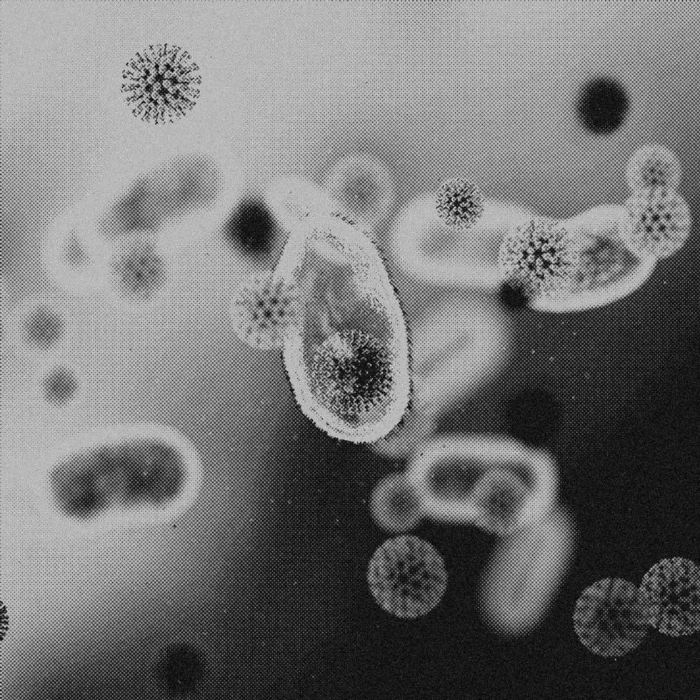 4K Image, Virus. Microscopic view of viruses. Cells, Black and White photo