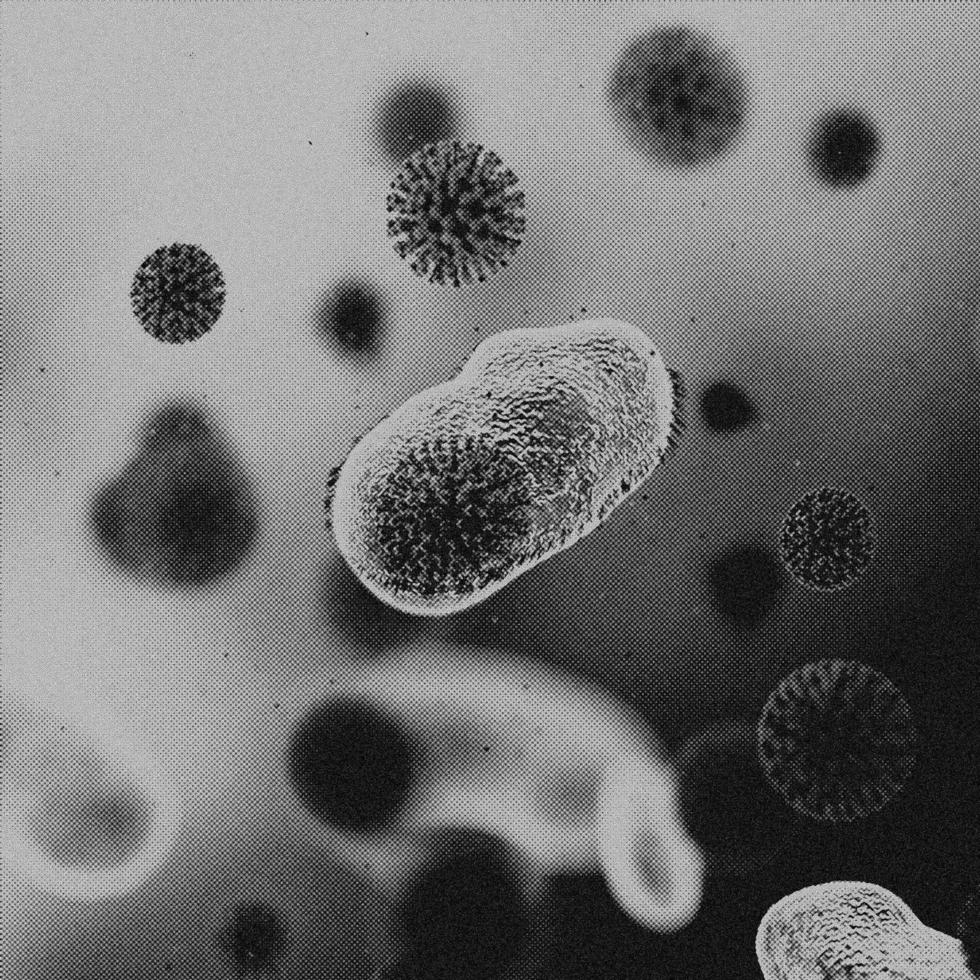 Imagen de 4k, virus. vista microscópica de virus. células, blanco y negro foto