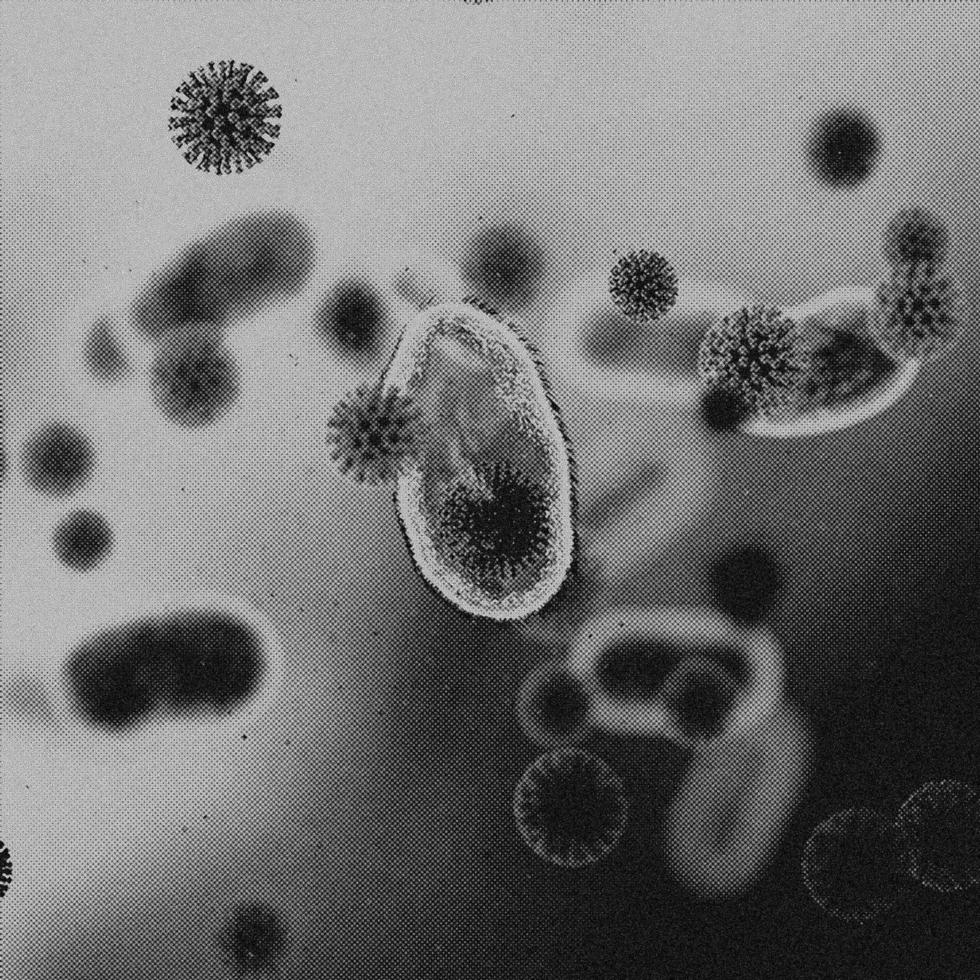 4K Image, Virus. Microscopic view of viruses. Cells, Black and White photo