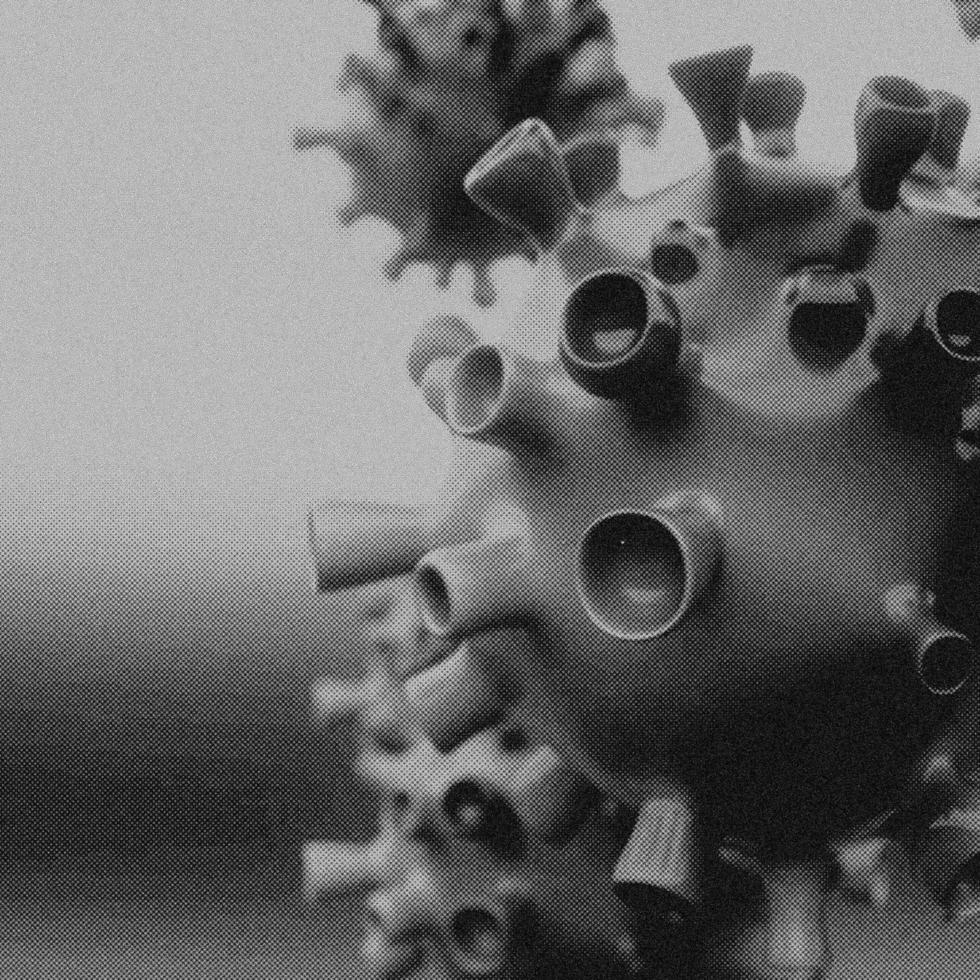 4K Image, Virus. Microscopic view of viruses. Cells, Black and White photo