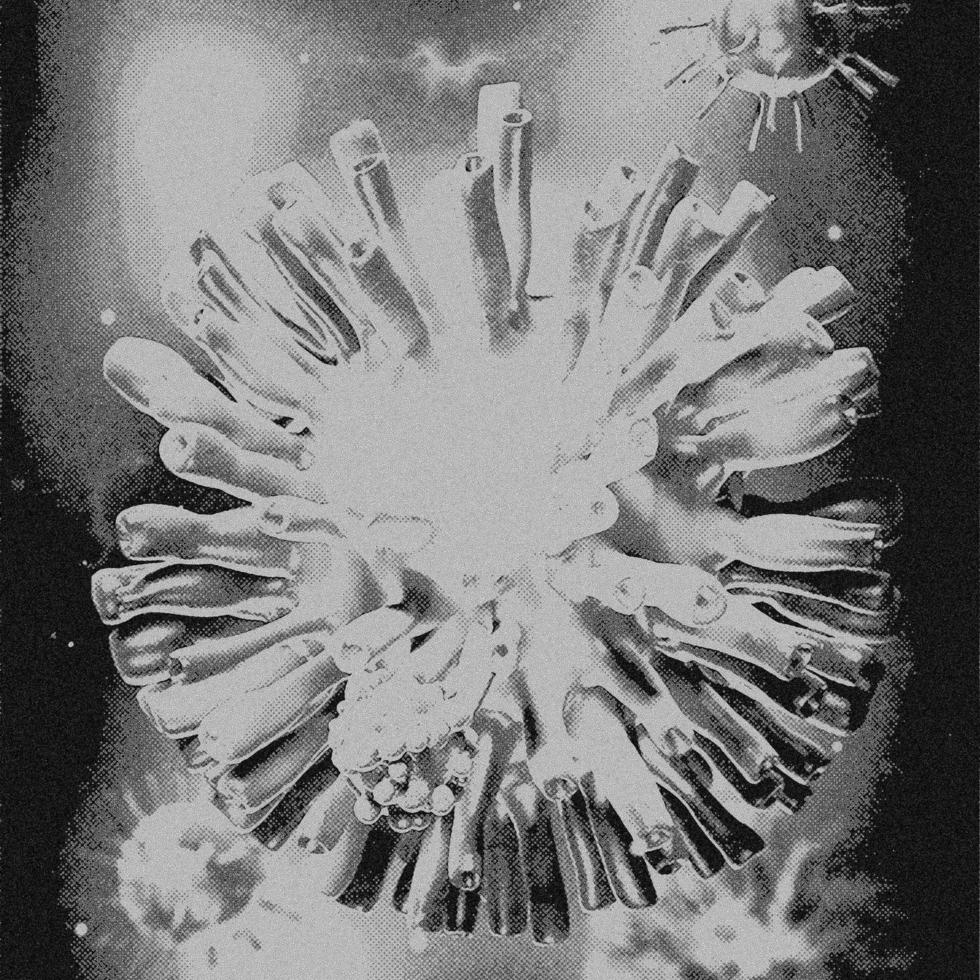 4K Image, Virus. Microscopic view of viruses. Cells, Black and White photo