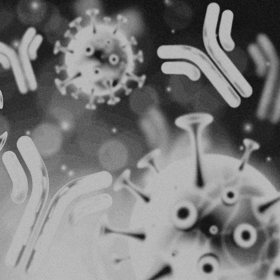 4K Image, Virus. Microscopic view of viruses. Cells, Black and White photo