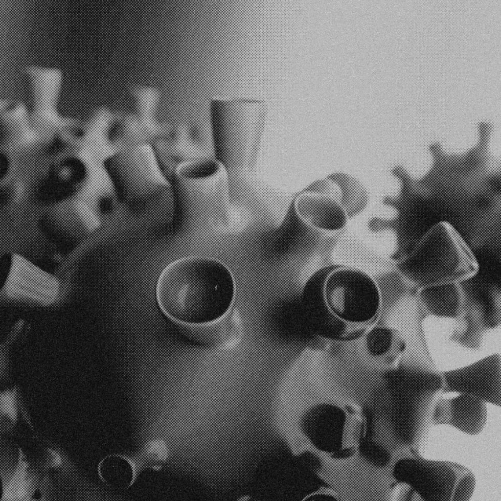 4K Image, Virus. Microscopic view of viruses. Cells, Black and White photo