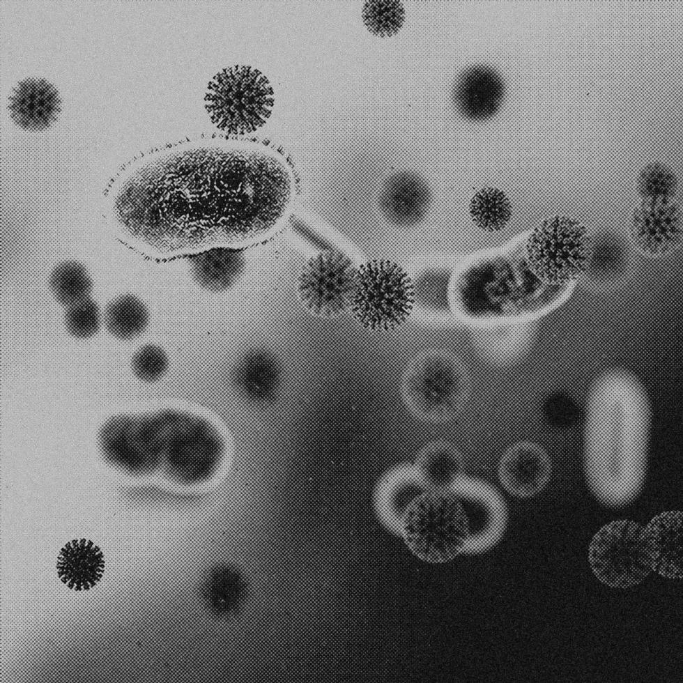 4K Image, Virus. Microscopic view of viruses. Cells, Black and White photo