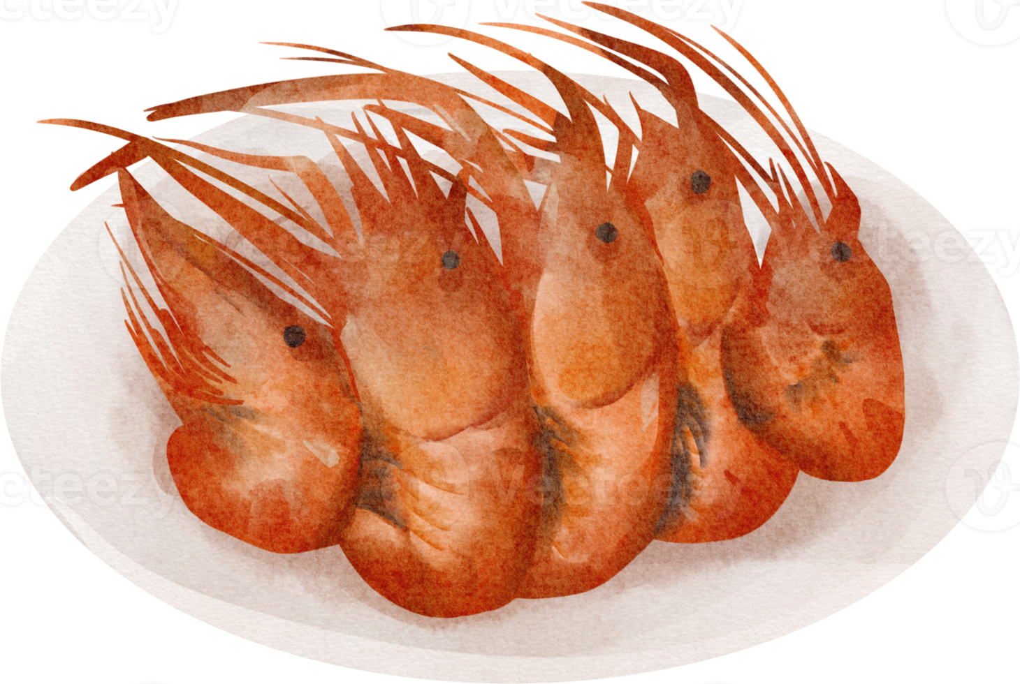 watercolor grilled shrimp png