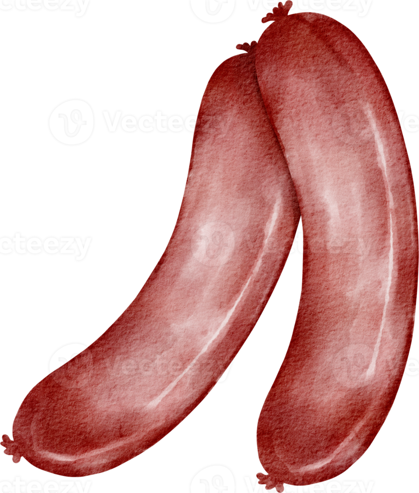 watercolor sausage element png