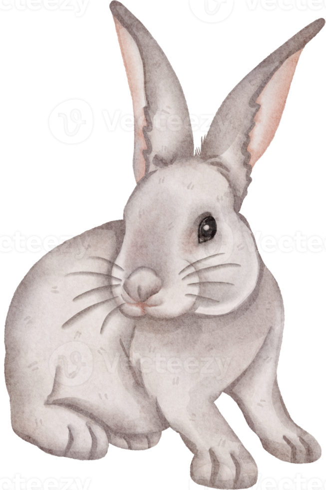 watercolor rabbit clip art png